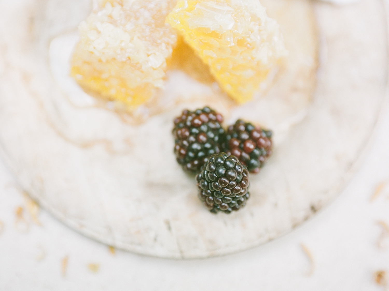 Our table design embraced the tradition of southern hospitality and grace with its overflowing assortment of breads, cheeses and settings fit for a luxurious and hearty celebration. (Who knew that being an adult would mean daydreaming about tablescapes - I am STILL swooning over this one!)